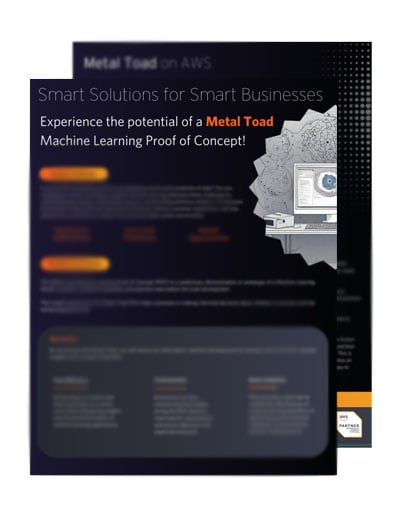 Machine Learning Proof of Concept Blur Machine Learning Proof of Concept Blur