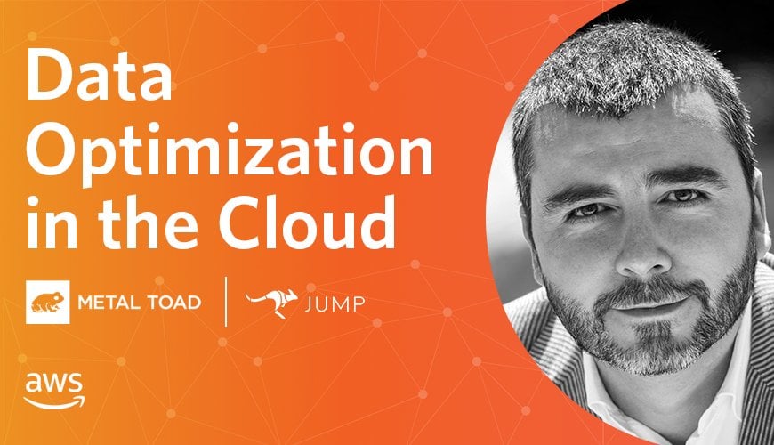 Data Optimization in the Cloud