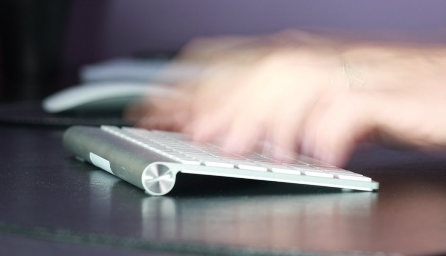 Typat How a Toad Writes a Blog Post